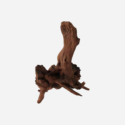 LYPHARD AQUARIUMS Natural Driftwood for Aquarium Decor, L11.81×W11.02×H12.6 Inches Large Drift Wood Decorations for Reptile Hide, Fish Tank, Optional Shapes