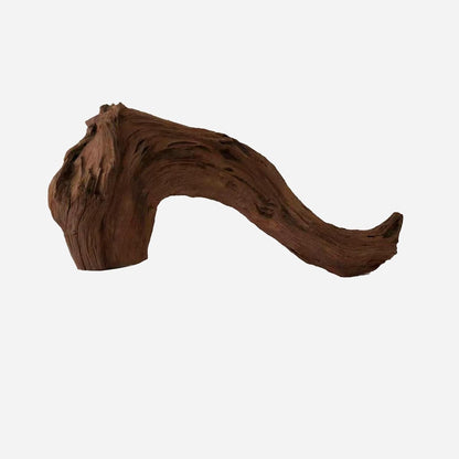 LYPHARD AQUARIUMS Natural Driftwood for Aquarium Decor, L26.38×W12.2×H12.99 Inches Large Drift Wood Decorations for Reptile Hide, Fish Tank, Optional Shapes