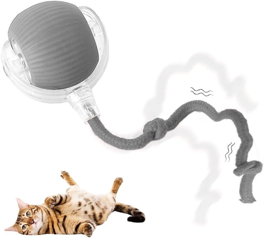 Interactive Cat Toy Ball, 2025 Upgraded Cat Toys for Bored Indoor Adult Cats, Self Rolling Interactive Dog Ball Toy, Automatic Smart Pet Toy Ball Kitten Toys (Gray)