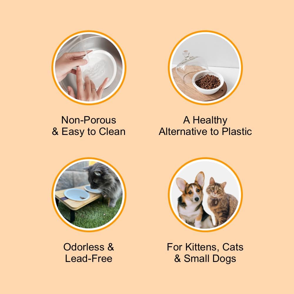 Replacement Ceramic Bowls, Dishwasher Safe Bowl for Cats and Puppy (Pack of 2)