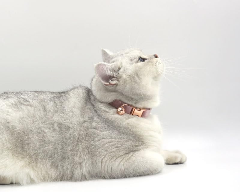 Personalized Cat Collar with Bells,Velvet Customized Small Cat Collar with Name Tag,Pet Collar with Name Phone Number Engraved ID Tags for Boy and Girl Kitten Cats (Champagne Powder)