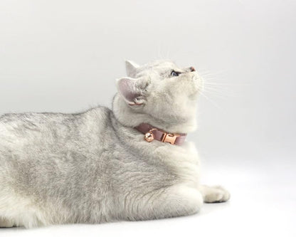 Personalized Cat Collar with Bells,Velvet Customized Small Cat Collar with Name Tag,Pet Collar with Name Phone Number Engraved ID Tags for Boy and Girl Kitten Cats (Champagne Powder)