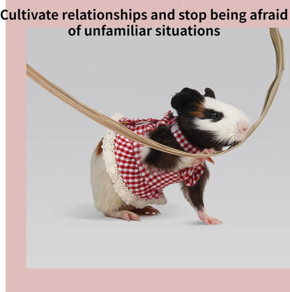 Guinea Pig Harness and Leash Plaid Hamster Harness, Adjustable Ferret Harness and Leash Set No Pulling Walking Vest for Ferret Chinchilla and Similar Small Animals (Small,Blue)