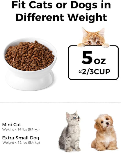 LoeJan Elevated Cat Food Bowl, 5 Oz Ceramic Raised and Tilted Water Bowl, Anti Vomiting and Protect Pets' Spines Dishes for Small Dog, Fat Faced Cat, Kitten (White, 4 Pack)