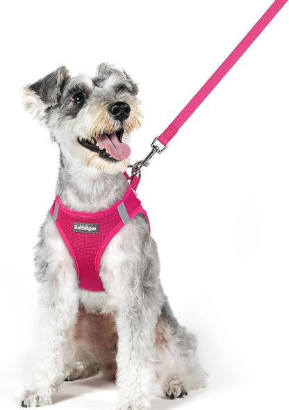 rabbitgoo Dog Harness Small Medium Sized and Leash Set, Step in Soft Light Puppy Vest, Breathable Mesh Pet Harness, Reflective for Safe Easy Walking, Rosa Red XL