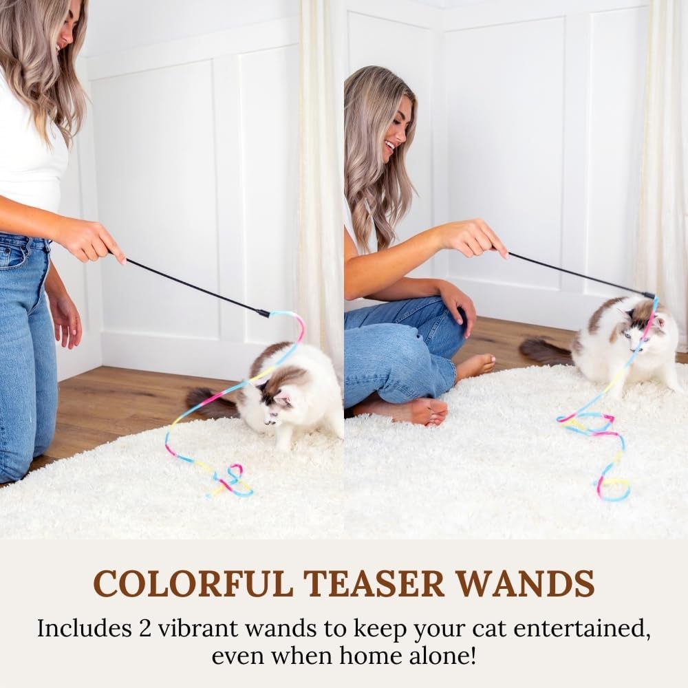 Cat Toys Set Cat Fishing Pole Retractable Wand Suction Cup & Hanging Teaser Wand for Indoor Cats & Kittens Feather Attachments Ribbon