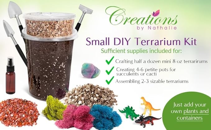 – Premium Small DIY Terrarium Kit for Succulents, Cacti & Air Plants, Includes Soil, Moss, Pebbles, Tools, Amethyst Gem & Crystal Chips – Handmade in USA