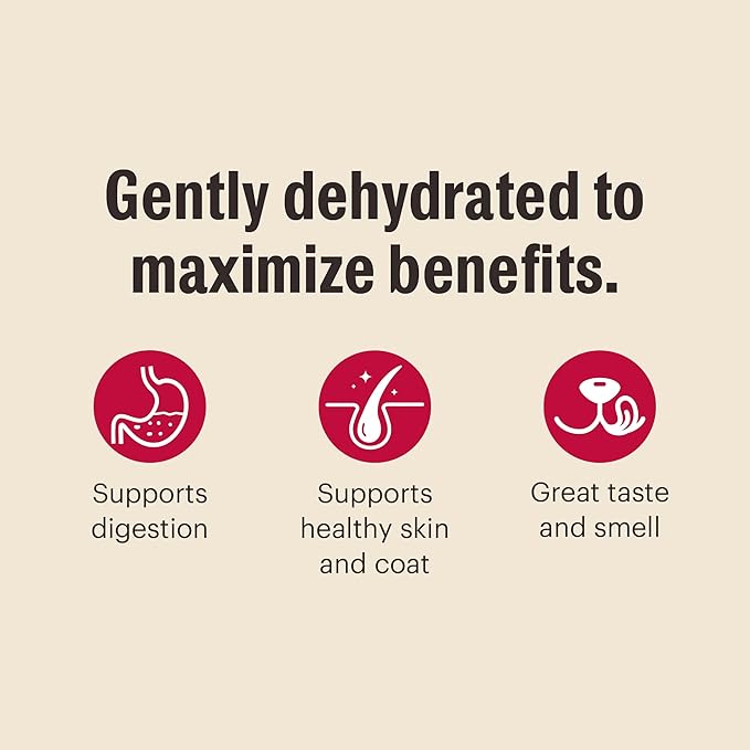 The Honest Kitchen Wholemade™ Whole Grain Beef & Oat Dog Food, 2 lb Bag