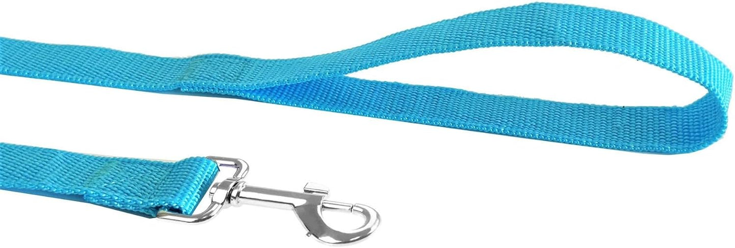 Nylon Dog Training Leash, Traction Rope, 4Ft /5 Foot /6 Feet Long, 5/8 inch 3/4 Inch 1 Inch Wide, for Small and Medium Dogs
