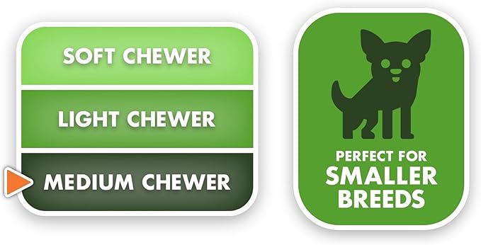 Doggijuana Tuffer Chewer Mini Plush Dog Toy | Funny Dog Toy Plush with Juananip Catnip for Dogs | Calming Aid for Dogs | Interactive Squeaky Chew Toy for Play (Pretzel Ring)