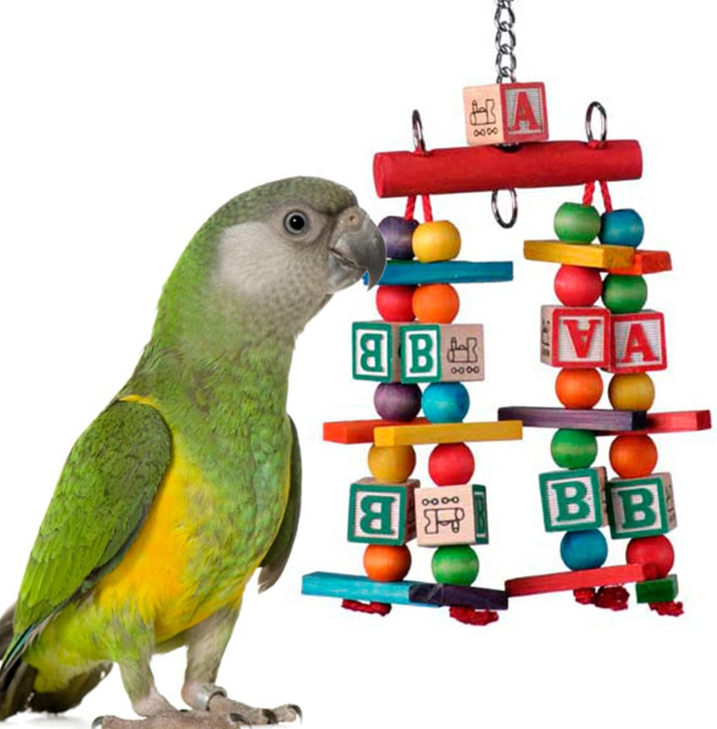 Super Bird Creations SB448 Katy's ABC Jr. Interactive Bird Toy - Durable Chew Toy, Non-Toxic Textured ABC Blocks, Safe 'Polly' Rope, Ideal for Parrots & Ringnecks - Medium Bird Size - 7" x 5" x 1.5"