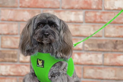 EcoBark Rapid Fastener Super Comfort Fully Adjustable Double Padded Step in Dog Harness (Large, Green)