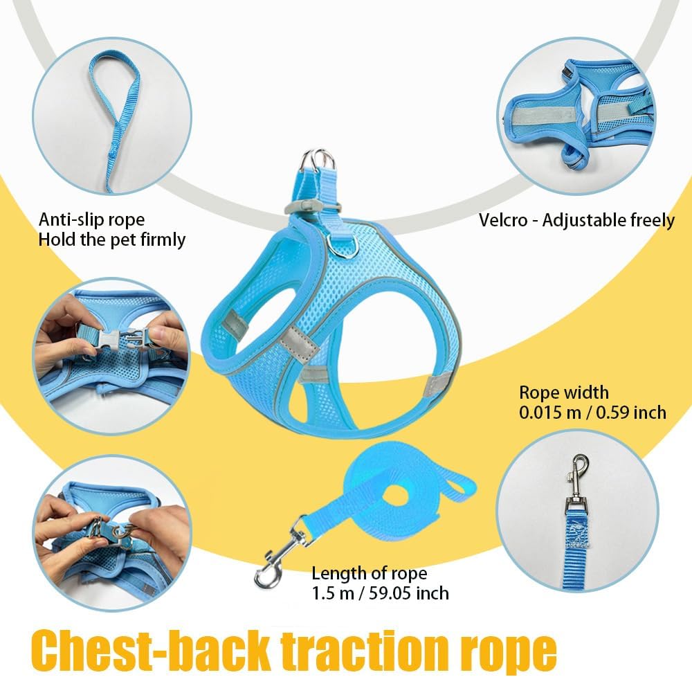 No Pull Dog Harness with Leash Set - Adjustable Reflective Step-in Puppy Vest for Small Medium Dogs & Cats, Blue M - Escape Proof Soft Mesh Comfort Harness for Walking, Choke Free Pet Safety