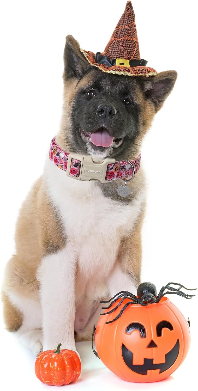 DOGWONG Pumpkin Dog Collar, Fall Pink Pumpkin Halloween Dog Collar Cute Comfortable Ghost Fall Holiday Girl Female Dog Collars for Small Puppy Dogs