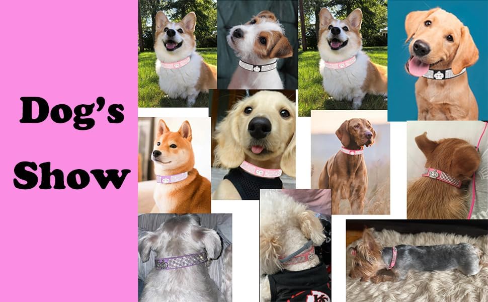 Serijoars Small Dog Collar with Rhinestone Crystal Diamond Colorful Bling Girl Puppy Cat Collars (L, Hot Pink4)