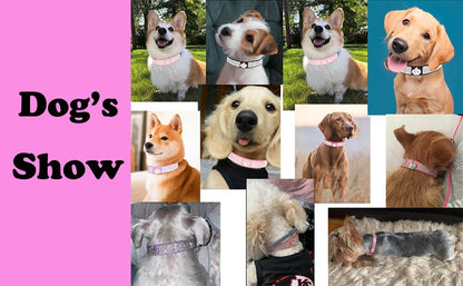 Serijoars Small Dog Collar with Rhinestone Crystal Diamond Colorful Bling Girl Puppy Cat Collars (M, Black4)