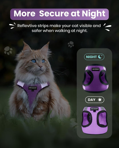 FAYOGOO Cat Harness, Cat Leash and Harness Set for Walking Escape Proof, Harness for Small Cats/Small Dogs, Large Kitten/Puppy Harness and Leash, Harness for Cats S-XXL(Modern Violet, XX-Large)