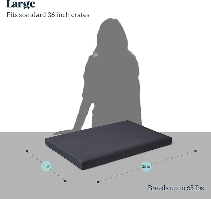 Cybarmour Chew Proof Dog Bed - Orthopedic Indestructible Dog Crate Pad - Outdoor Waterproof Kennel Mat for Aggressive Chewers - Large Breeds & Fits 36-Inch Crate - 35"x22", Black