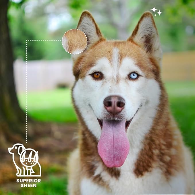 Best Shot UltraMAX Pro Finishing Spray, Ideal Detangler Spray for Pets, Hydrating and Soothing Pet Grooming Spray, for Dogs and Cats, 1.1 Gallon