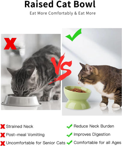 Cat Water Bowl, 16 OZ Ceramic Elevated Cat Bowls, 15° Tilted and Raised Pet Food Dish, Anti Vomiting Protect Pets' Spines and Whisker Fatigue