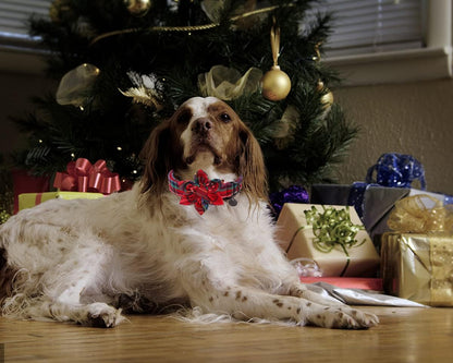 DOGWONG Christmas Dog Collar with Flower, Red Plaid Dog Collar Soft Durable Adjustable Cotton Red Tartan Puppy Collar for Small Medium Large Dog