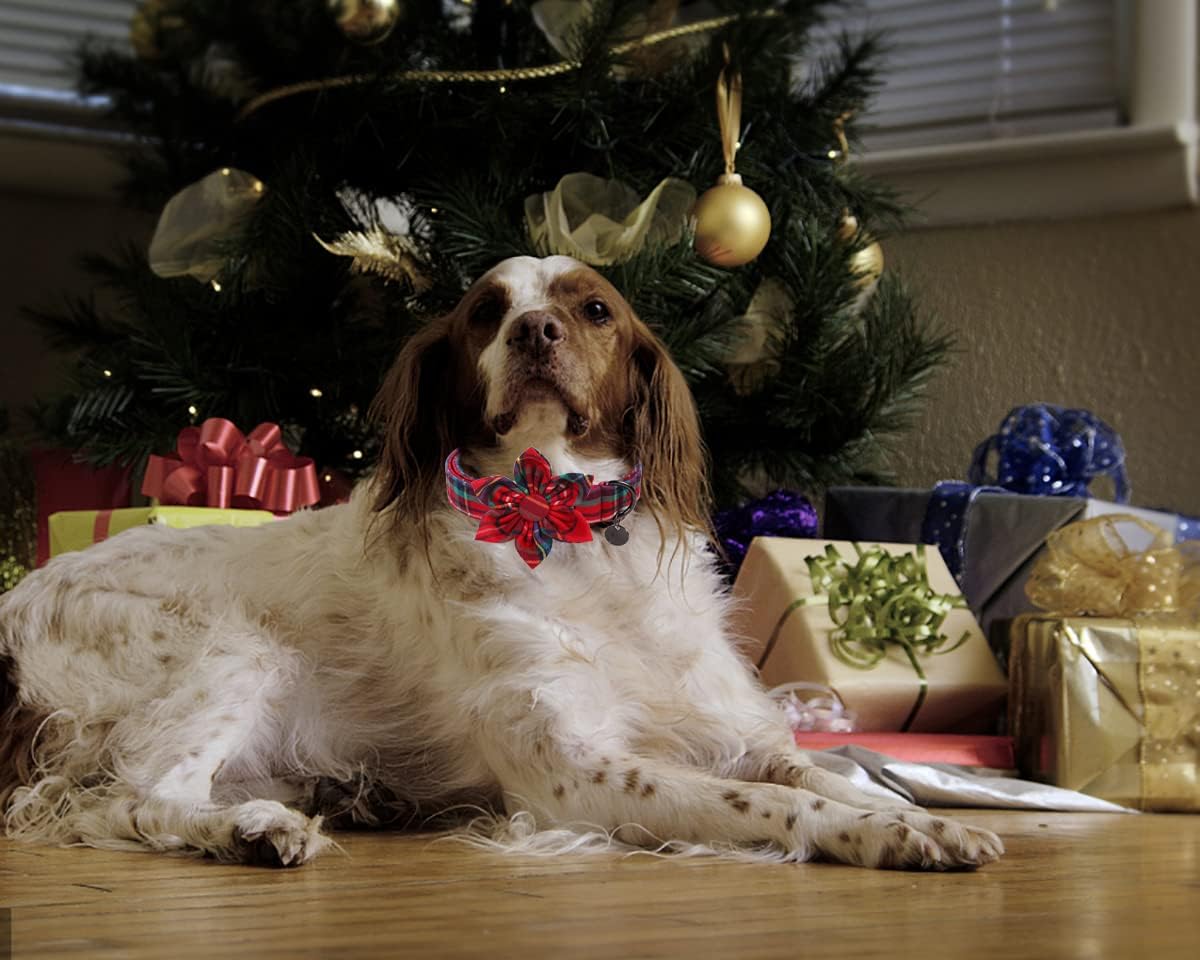 DOGWONG Christmas Dog Collar with Flower, Red Plaid Dog Collar Soft Durable Adjustable Cotton Red Tartan Puppy Collar for Small Medium Large Dog