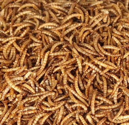 Bulk Dried Mealworms 5Lb Bag -Premium Non-GMO Dried Mealworms for Chicken, Nutritious High Protein - 100% Natural Mealworms for Laying Hens, Birds, Ducks, Chicken Feed