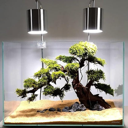 Ultra Clear Rimless Aquarium Tank 6-60 gallons Low Iron Glass (10GaI - Top Glass Canopy)