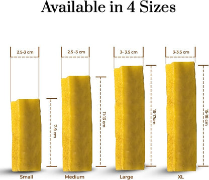 Dogsee Himalayan Yak Cheese Dog Chews with Turmeric/Curcumin (Medium - 2 Chews) | All Natural Long Lasting | Anti-inflammatory | Odorless High Protein Chew | Dog Treats for Active Chewers