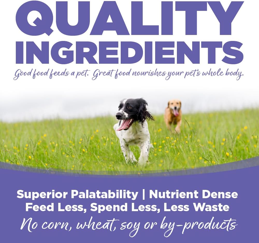 NutriSource Chicken & Rice Small & Medium Breed Puppy Food, Premium Wet Dog Food, 12.3 Ounce (Pack of 12)
