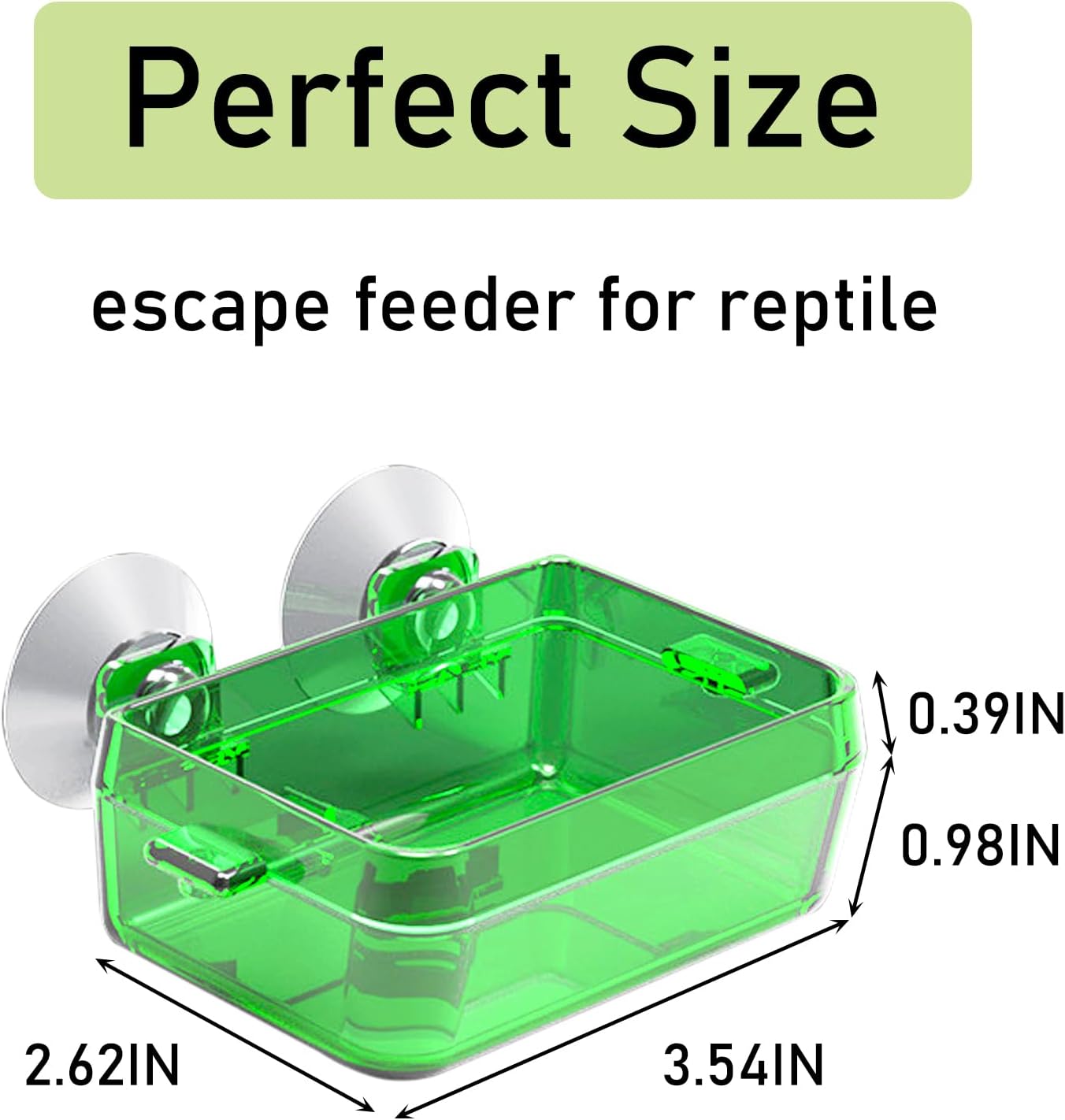 Tfwadmx 2 Pcs Reptile Feeder Chameleon Bowl Water Dish with Suction Cup Gecko Worm Feeder Anti-Escape Chameleon Supplies Accessories for Iguana Lizard Bearded Dragon Snakes （Green,S）