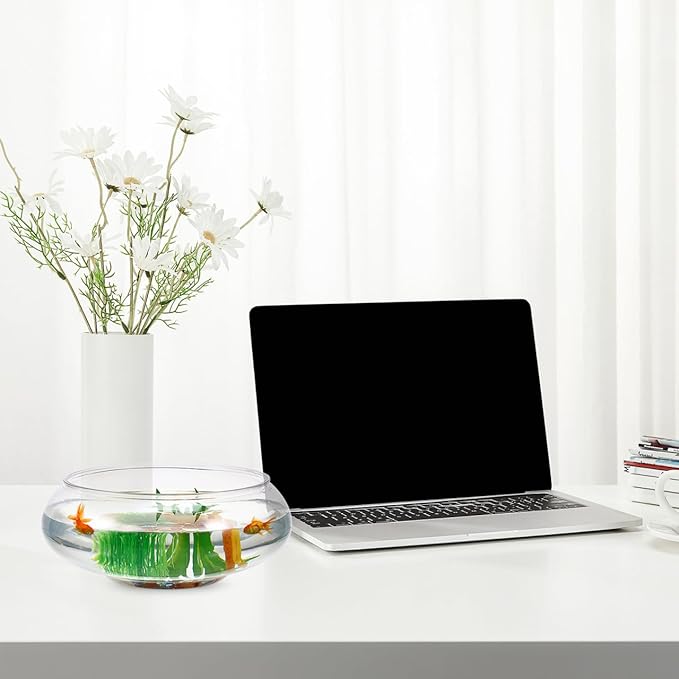 HANABASS Clear Fish Bowl Vase - Wide Mouth Bubble Bowl - Shallow Planter - Terrarium Fish Bowl - Aquatic Plant Pot - Hydroponic Planter Table Centerpiece, 9.5X 9.5X 3.9 Inch, for Office Home Decor