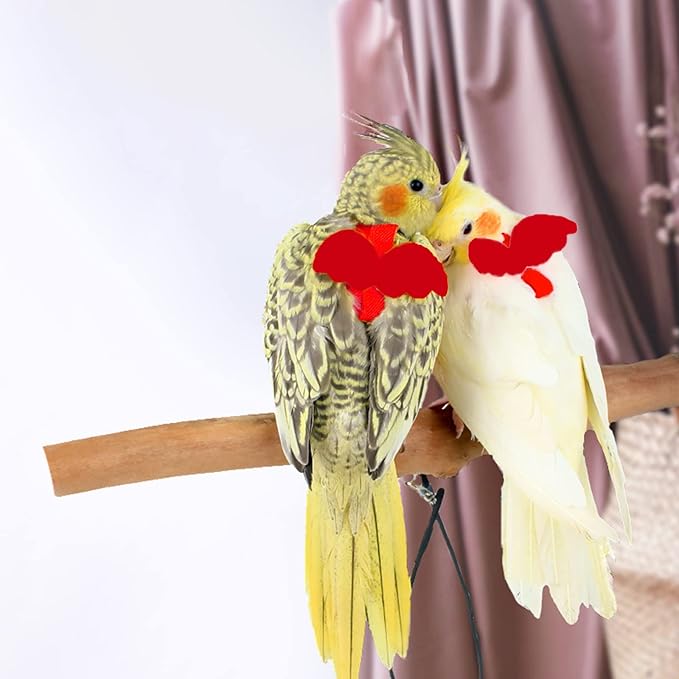 Dnoifne Pet Parrot Bird Harness and Leash, Adjustable Training Design Anti-Bite, Bird Nylon Rope with Cute Wing for Parrots, Suitable for Scarlet, Keck, Mini Macaw and Same Size Birds (red)