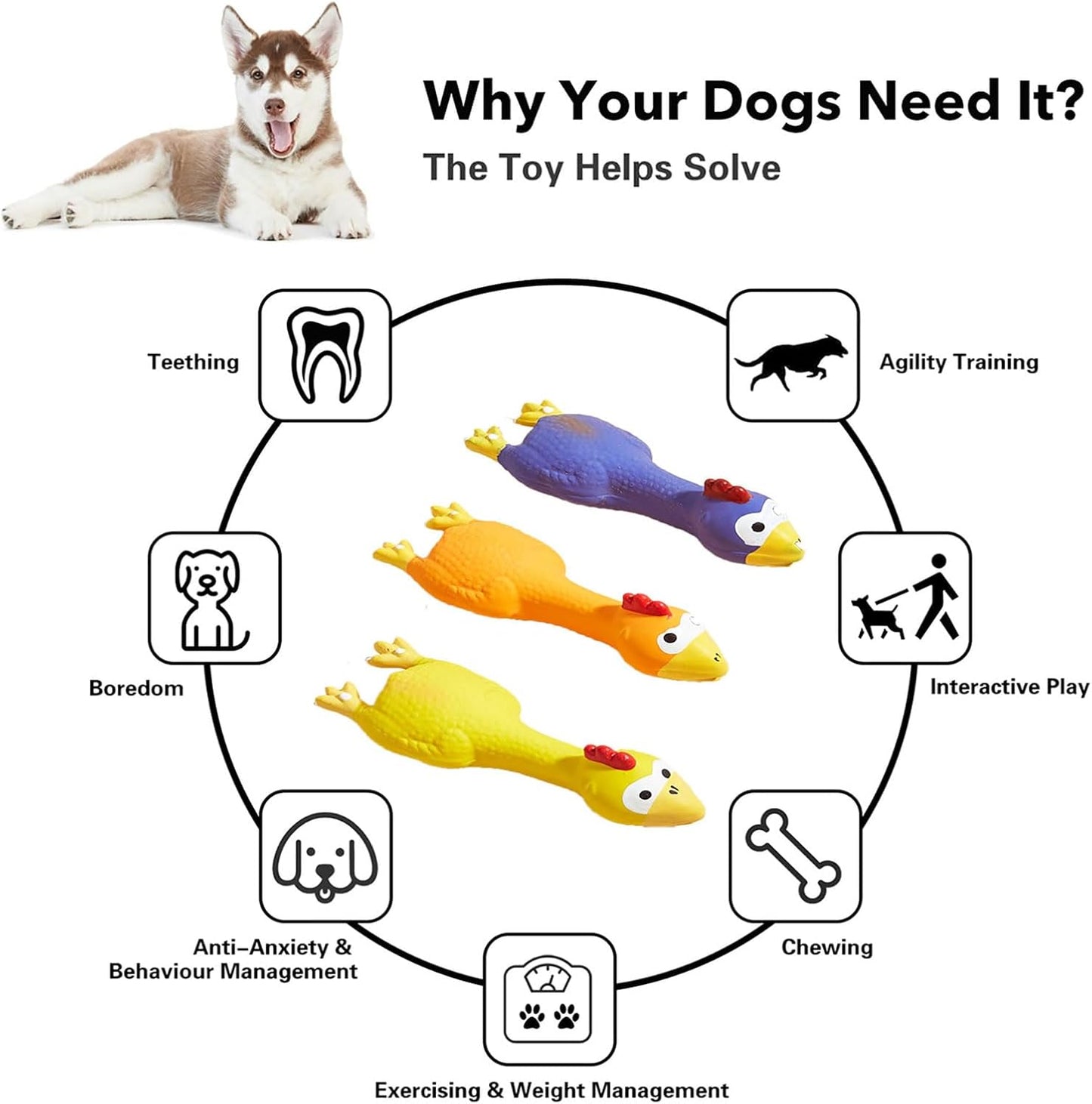 3 PCS Latex Chicken Squeak Toy for Pets - Exciting Chew & Dental Care Fun - Perfect for Playful Molar Exercise