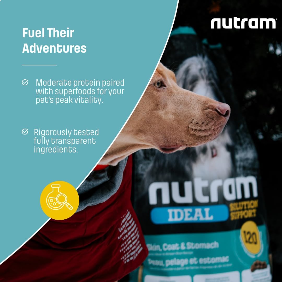 I20 Lamb & Brown Rice Dry Dog Food – Formulated for Skin, Coat, and Stomach | Kibble for Adults & Seniors | with Omega-3 Salmon Oil & Rosemary for Immunity and a Shiny Coat