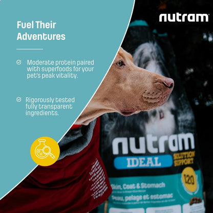 I20 Lamb & Brown Rice Dry Dog Food – Formulated for Skin, Coat, and Stomach | Kibble for Adults & Seniors | with Omega-3 Salmon Oil & Rosemary for Immunity and a Shiny Coat