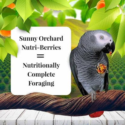 LAFEBER'S Sunny Orchard Nutri-Berries Pet Bird Food, Made with Non-GMO and Human-Grade Ingredients, for Parrots, 3 lb