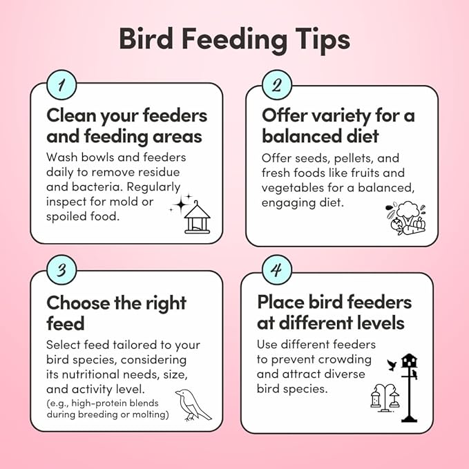 Mycelium Pet Bird Cuisine Bird Food (5 LB Bag) | Organic Parakeet Food, Cockatiel & Lovebird Seed Mix | High Protein, Vitamins & Minerals with Fruits & Vegetables | Non-GMO, USA Made