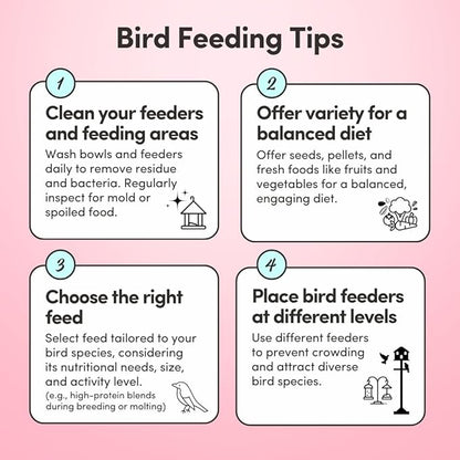 Mycelium Pet Bird Cuisine Bird Food (5 LB Bag) | Organic Parakeet Food, Cockatiel & Lovebird Seed Mix | High Protein, Vitamins & Minerals with Fruits & Vegetables | Non-GMO, USA Made