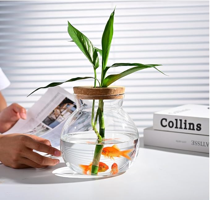 Small Fish Bowl, Cute Betta Tank, High Clear Fish Glass Bowl, Desktop Mini Aquarium Vases for Betta Fish and Hydroponic Plants, Plants Propagation Station, Home Office Table Decorations