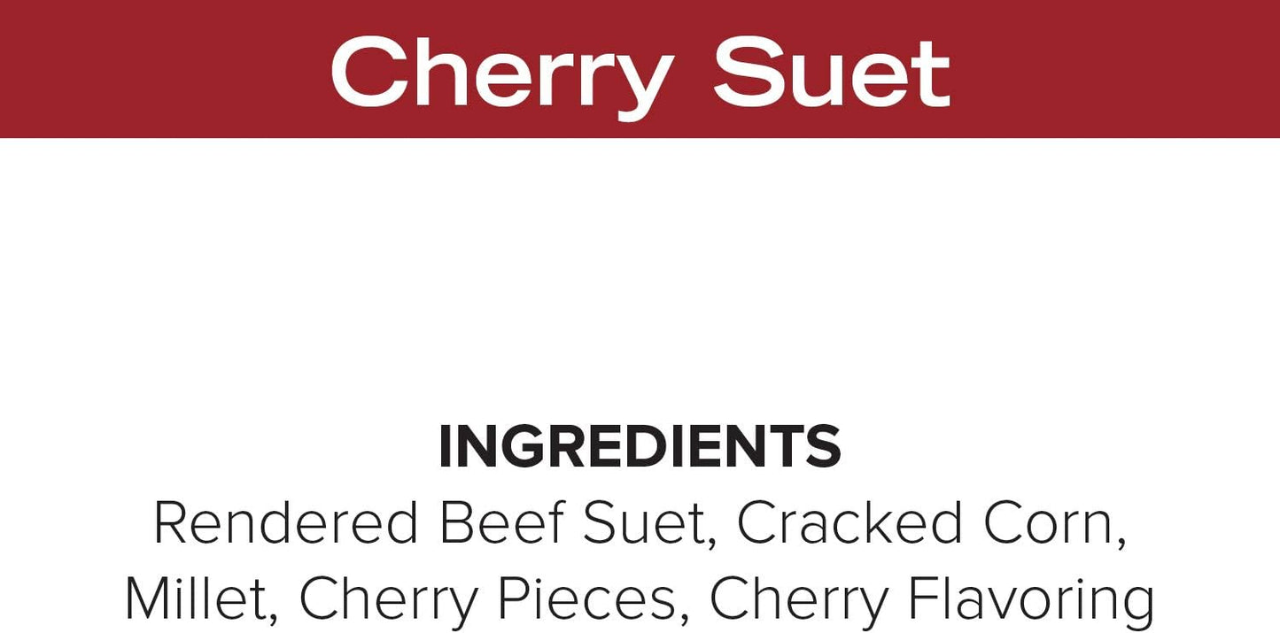 Blue Seal Cherry Suet Cakes for Wild Birds - No Mess Suet Feed, Food for Woodpeckers, Cardinals, Siskins, Sparrows & More - 11oz Suet Feeder, Bird Seed Cakes (Pack of 12)