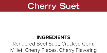 Blue Seal Cherry Suet Cakes for Wild Birds - No Mess Suet Feed, Food for Woodpeckers, Cardinals, Siskins, Sparrows & More - 11oz Suet Feeder, Bird Seed Cakes (Pack of 12)