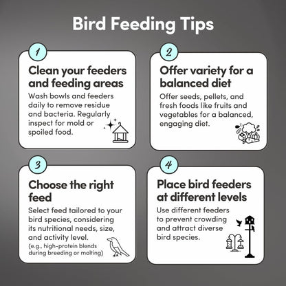 Mycelium Dove Plus Wild Bird Food (5 LB Bag) | Premium Bird Seed Mix for Doves, Pigeons & Ground-Feeding Birds | Supports Healthy Digestion | Organic, Non-GMO & Made in USA