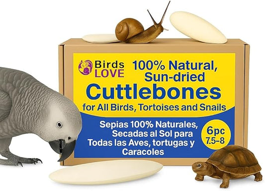 Birds LOVE Natural Cuttlebone – Premium Calcium & Trace Mineral Supplement for Tortoises, Snails, Parakeets, Cockatiels, and All Birds - 6 Pack of 7.5 to 8"