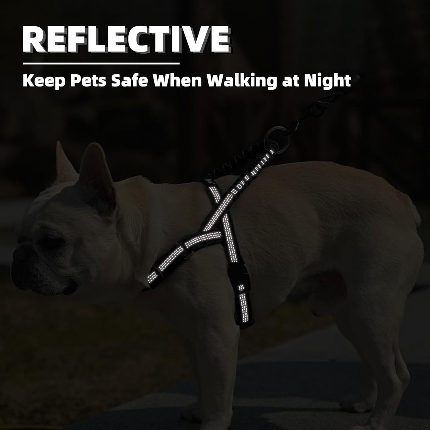 PUPTECK No Pull Dog Harness Small Sized Dog, Adjustable Reflective Pet Vest Harness with Bungee Handle, Escape Proof No Choke Harness for Small Dogs Walking Training, Black XS