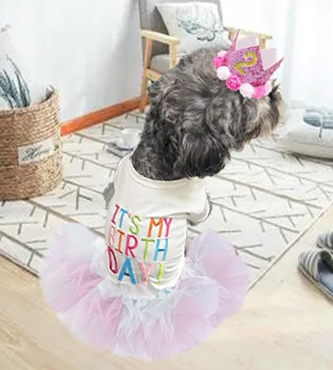 ANIAC Dog Birthday Dress and Hat Set Puppy Lace Tutu Pink Pet Crown Hat with 0-9 Figures Birthday Outfit for Cats Small Dog (White+Pink,Large)