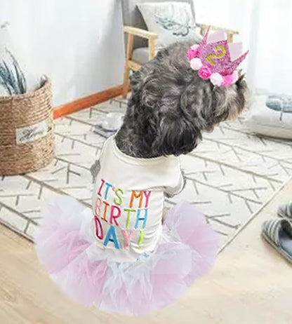 ANIAC Dog Birthday Dress and Hat Set Puppy Lace Tutu Pink Pet Crown Hat with 0-9 Figures Birthday Outfit for Cats Small Dog (White+Pink,X-Large)