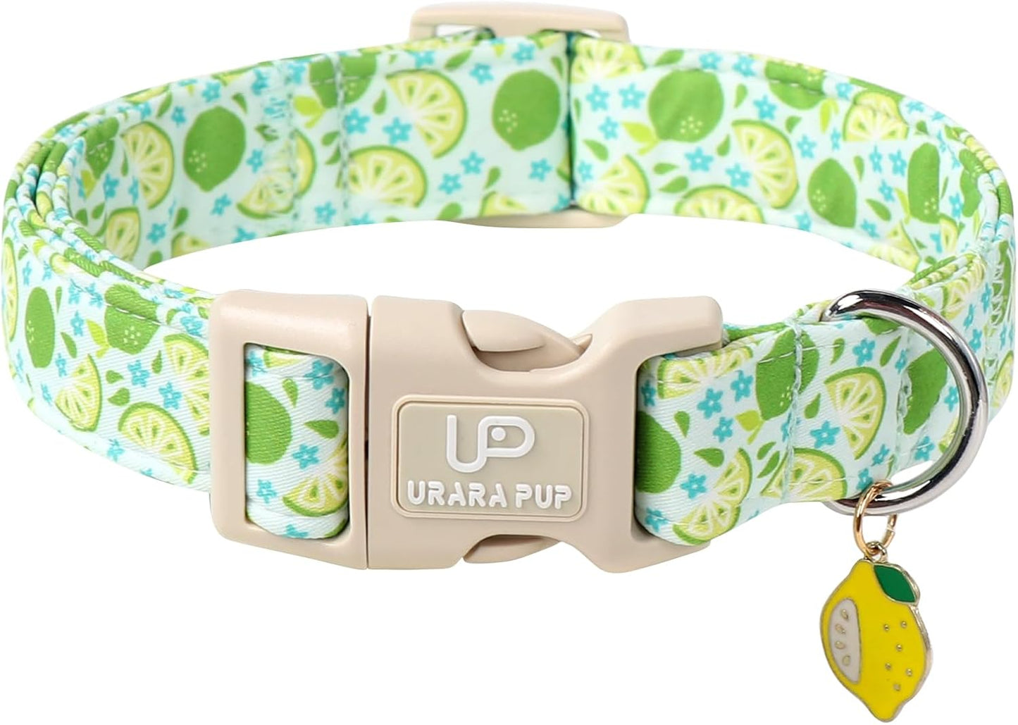 Summer Dog Collar-Refreshing Lime Pet Collars-Adjustable, Comfortable & Durable Puppy Collars for Small, Medium, Large Dogs