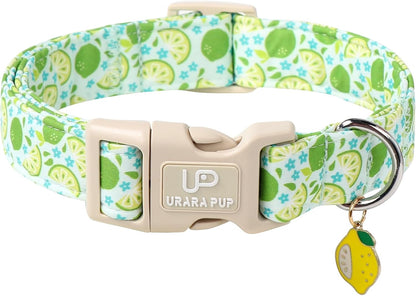 Summer Dog Collar-Refreshing Lime Pet Collars-Adjustable, Comfortable & Durable Puppy Collars for Small, Medium, Large Dogs