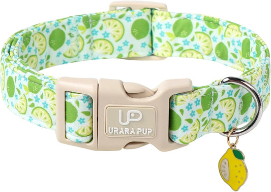 Summer Dog Collar-Refreshing Lime Pet Collars-Adjustable, Comfortable & Durable Puppy Collars for Small, Medium, Large Dogs